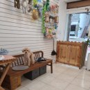 그루밍 하와이 이미지