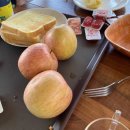 노을축산2 이미지