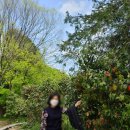 전북 고창, 아름답게 조성되어 산책하기 좋은 선운산생태숲, 선운사(입장료, 주차비, 볼거리, 휠체어...