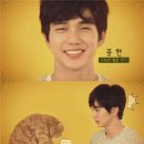 상상고양이 이미지