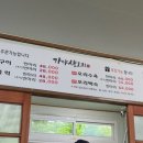 가야생오리 이미지