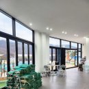 힐링 바이올린 이미지