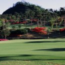 신안 퍼블릭 CC 이미지