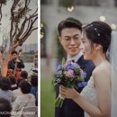 프라움악기박물관 이미지