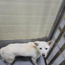 병암동행정복지센터 이미지