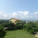 제주도유 이미지