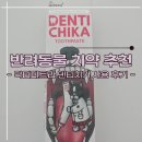 닥터카 | 강아지 치약 닥터페트라 덴티치카 사용 후기 (ft. 리스펫 만모칫솔)