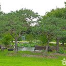 목화공원2 이미지