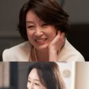 남기애 카카오 검색결과