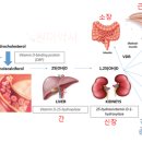 넘버원약국 이미지