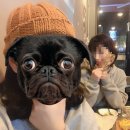 수니호프