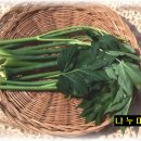 다올농장 이미지