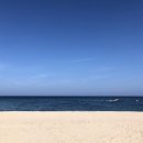 푸른바다콘도텔 네이버블로그