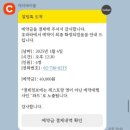 호라파 네이버블로그