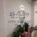 완스데이 네이버블로그