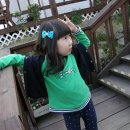 마루와아라 이미지