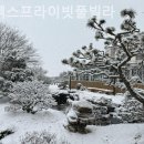 플렉스 풀빌라 | 대부남동 풀빌라 플렉스프라이빗풀빌라 나만 알고 싶었던 공간