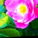 일상의집 이미지