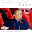 베트남 축구 근황 이미지