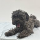 멍무드 살롱 이미지