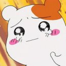 삼겹이땡기네 이미지