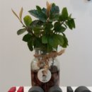 우리독일보청기 이미지