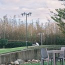 풍자농원 이미지