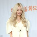새서울사 이미지