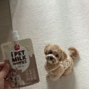 킁킁펫살롱 네이버블로그