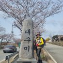 가마치통닭(금산점) | 꽃길만 걸은 완도 5산종주(상왕산 5봉종주)