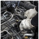 강원브란자 이미지