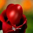 행복한하루 이미지