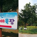 놀이터목장 이미지