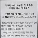 수성기획