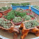 성구농장 이미지