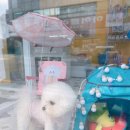 개린이미용실 이미지