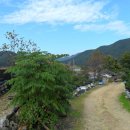 구룡부동산중개 이미지