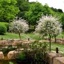 바다향기수목원(바다너울원) 이미지