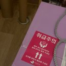 스노우폭스플라워잠실역점 | 잠실 꽃집 스노우폭스 플라워 잠실역점 꽃다발 배송 만족 후기