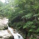 1398목장 이미지