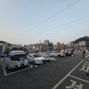 대명선어 이미지