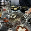 장어랑곰장어나라