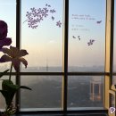 청도 스카이뷰 이미지