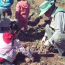 실버농장 이미지