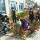 군산흥남초등학교 이미지