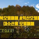 선용숙박 네이버블로그