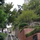 봉산공연창작소3-거기, 푸른 담쟁이 동산 | 뚜벅이 7일 여행 4일차 : 대구2-2 - 2020.10.21(수)