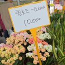 오리역.하나로마트 이미지