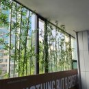 인성태권도장 이미지