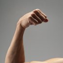 종로청운스포렉스 피트니스센터 이미지